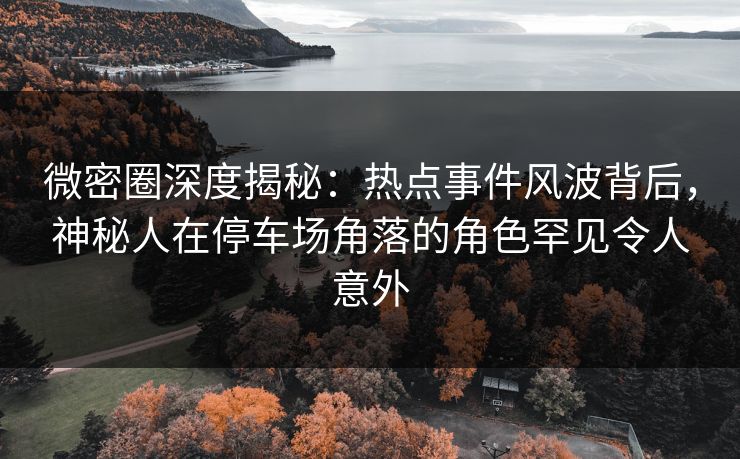 微密圈深度揭秘：热点事件风波背后，神秘人在停车场角落的角色罕见令人意外
