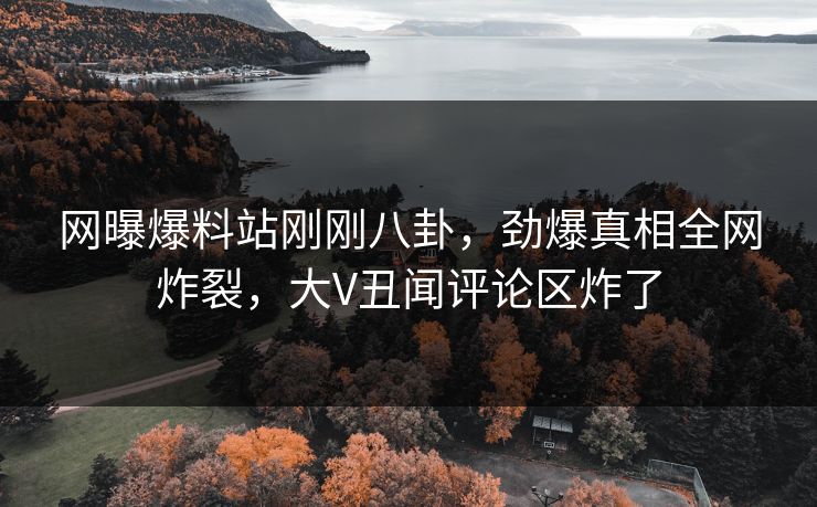 网曝爆料站刚刚八卦，劲爆真相全网炸裂，大V丑闻评论区炸了