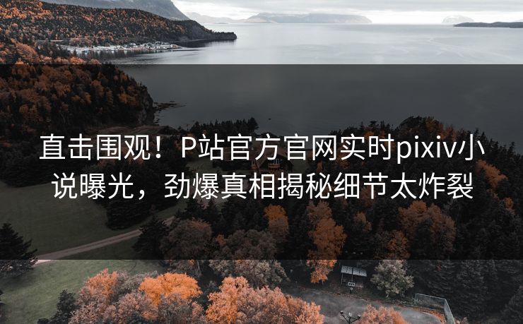 直击围观！P站官方官网实时pixiv小说曝光，劲爆真相揭秘细节太炸裂