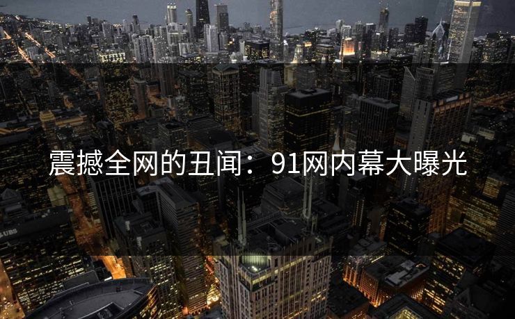 震撼全网的丑闻：91网内幕大曝光