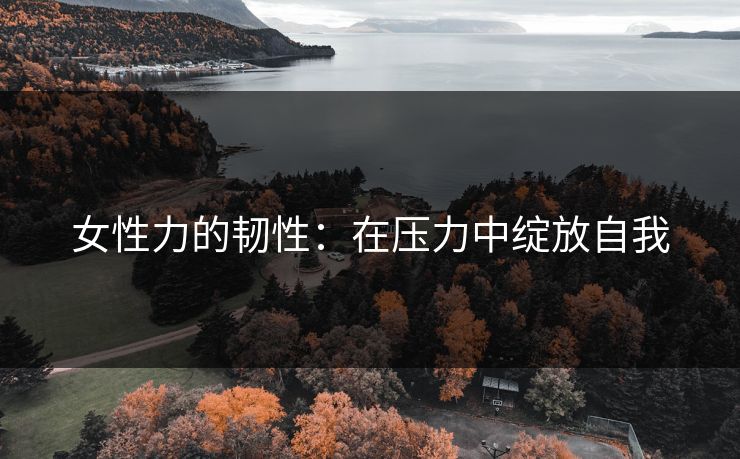 女性力的韧性：在压力中绽放自我