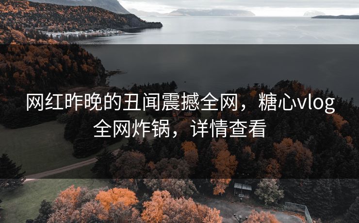 网红昨晚的丑闻震撼全网，糖心vlog全网炸锅，详情查看