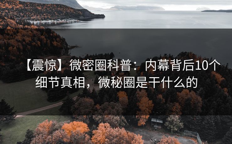 【震惊】微密圈科普:内幕背后10个细节真相,微秘圈是干什么的 【震惊】微密圈科普:内幕背后10个细节真相,微秘圈是干什么的