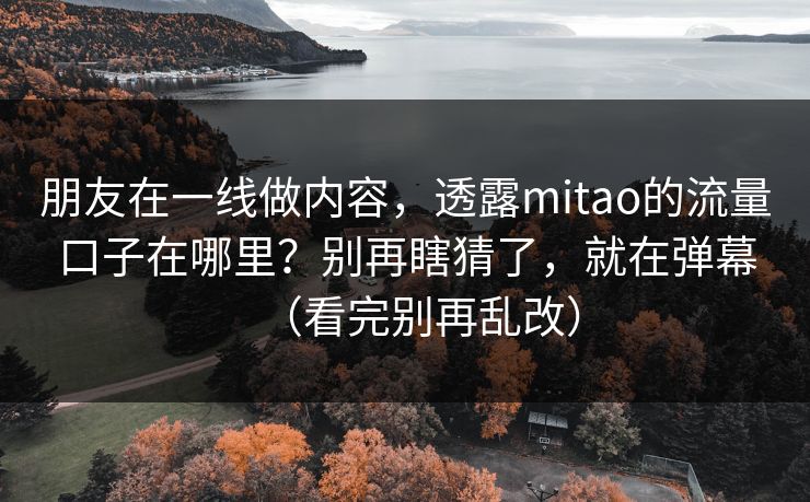 朋友在一线做内容,透露mitao的流量口子在哪里?别再瞎猜了,就在弹幕(看完别再乱改) 朋友在一线做内容,透露mitao的流量口子在哪里?别再瞎猜了,就在弹幕(看完别再乱改)
